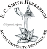 E.C Smith Herbarium